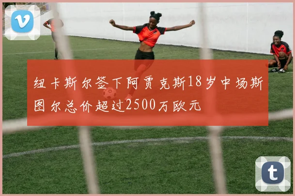 纽卡斯尔签下阿贾克斯18岁中场斯图尔总价超过2500万欧元